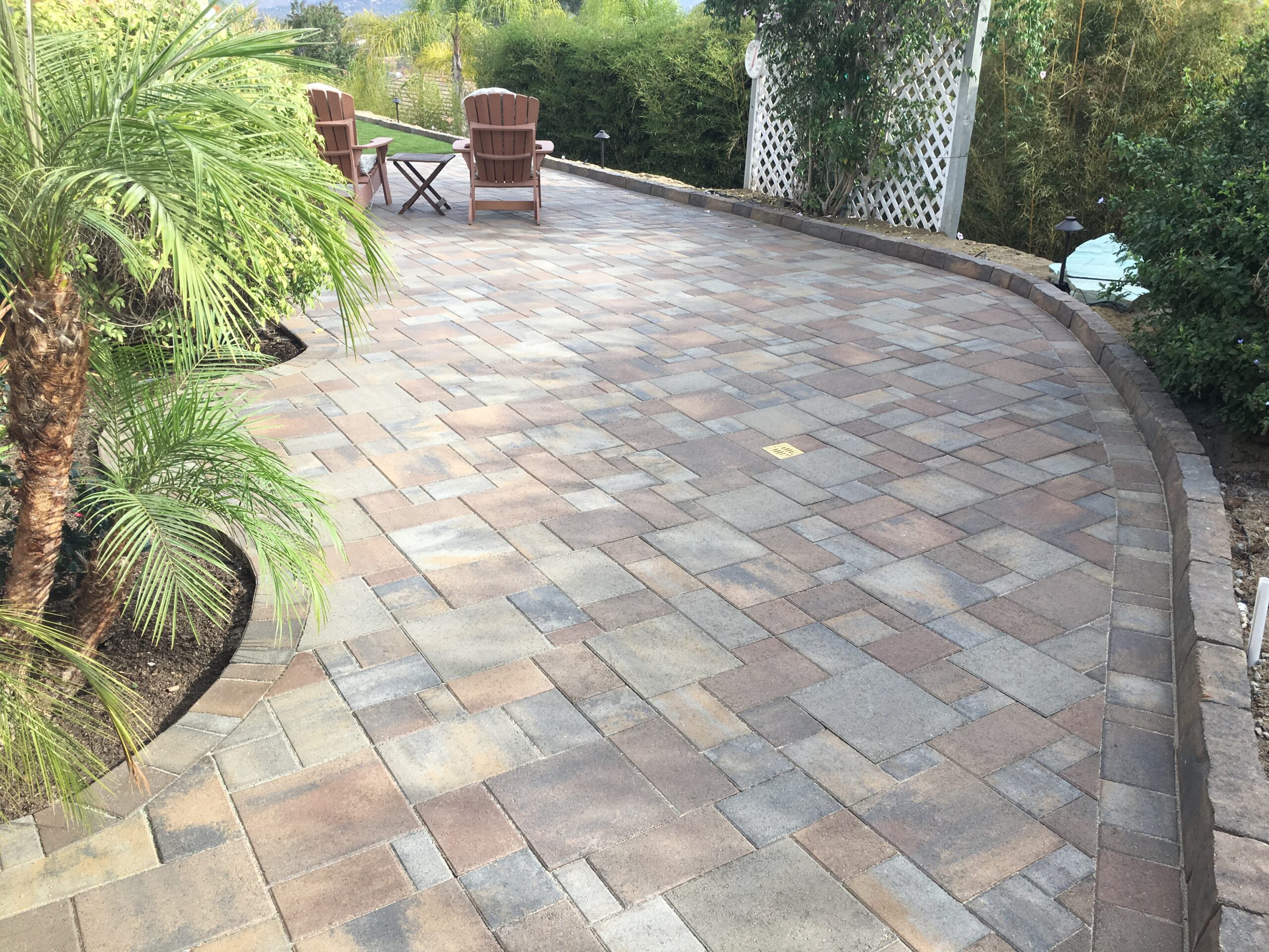 Concrete pavers outlining new outdoor pathway next to trees and greenery.